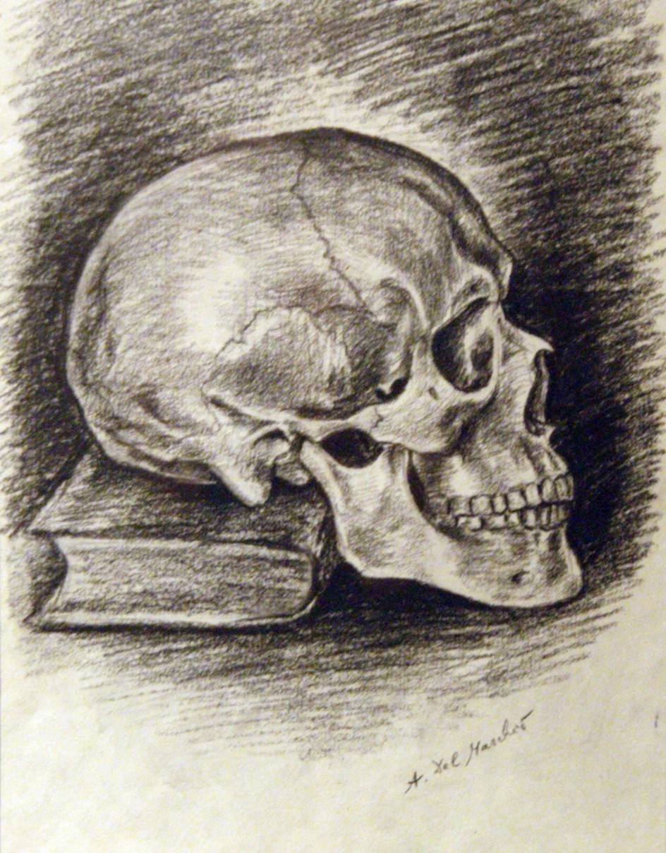Studie lebky 2