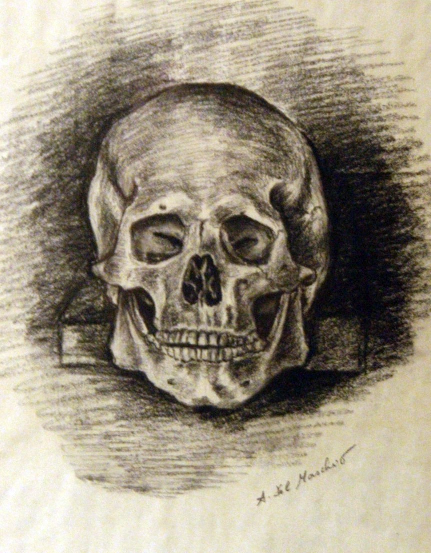 Studie lebky 1 