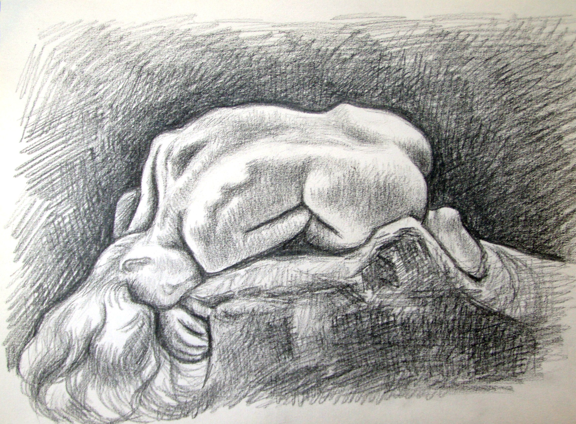 Studie podle Rodina I